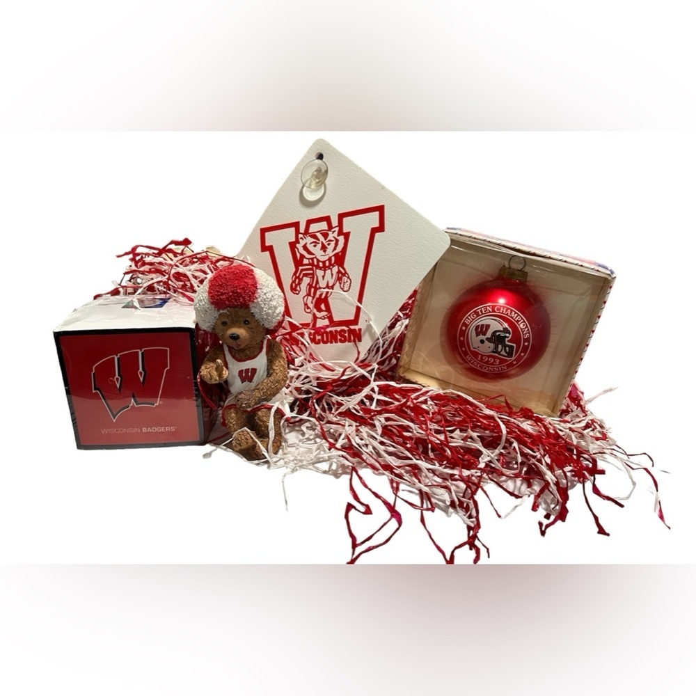 Vintage Wisconsin Badger Bundle UW Bucky Madison NCAA